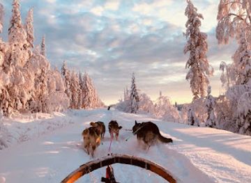 sweden/lapland/attraction/openlappland-chien-de-traineau-et-sejours-en-laponie