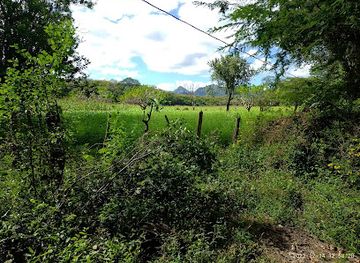 nicaragua/somoto-canyon/attraction/cacauli