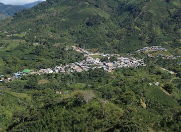 colombia/pasto/attraction/parque-nacional-cueva-de-los-guacharos