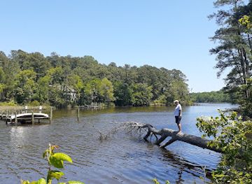 virginia/northern-neck/attraction/bush-mill-stream-natural-area-preserve