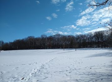 wisconsin/northern-highland/attraction/sandburg-woods