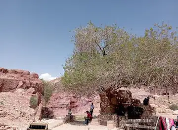 One Day Tour Petra jordan