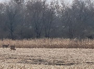 illinois/western-illinois/attraction/edward-r-madigan-state-park