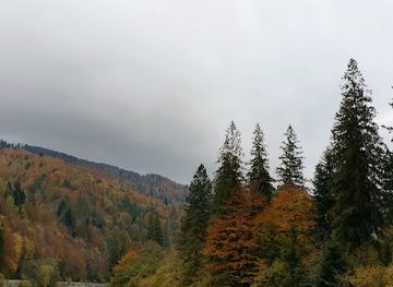 ukraine/trostyan/attraction/lisovyi-maietok