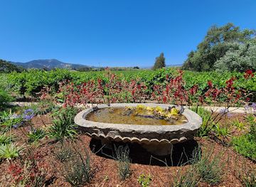 california/napa-valley/attraction/piazza-del-dotto-winery-caves