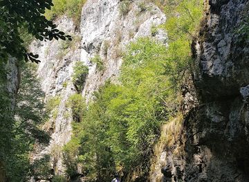 romania/caras-severin/attraction/pestera-topolnita