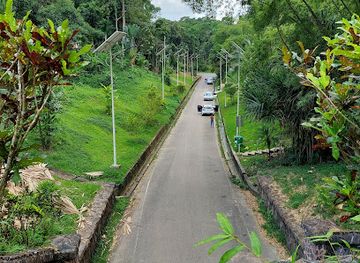 trinidad-and-tobago/mayaro/attraction/the-knolly-s-tunnel