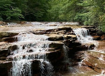 west-virginia/dolly-sods-wilderness/attraction/muddy-creek-park