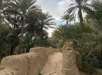 united-arab-emirates/al-ain/attraction/wahat-al-qattara