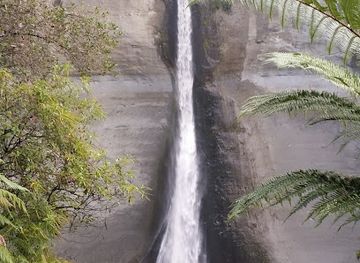 new-zealand/taranaki/attraction/mount-damper-falls