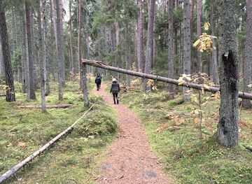 estonia/lahemaa-national-park/attraction/elu-kivil
