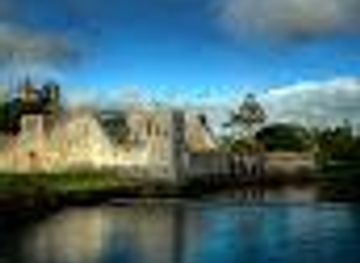 ireland/ennis/attraction/desmond-castle-adare