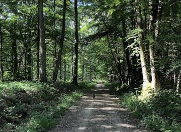 france/paris/attraction/foret-domaniale-de-fausses-reposes