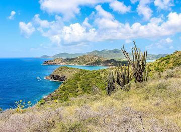 antigua-and-barbuda/barbuda/attraction/carpenter-rock-trail-antigua