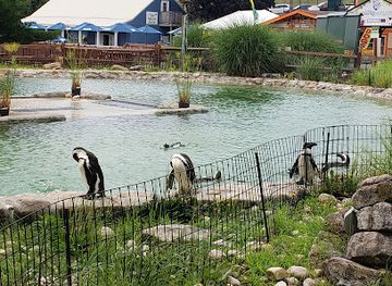 pennsylvania/south-central-pennsylvania/attraction/lehigh-valley-zoo