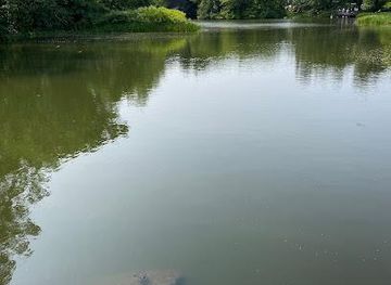 new-york/yonkers/attraction/the-central-park-turtle-pond