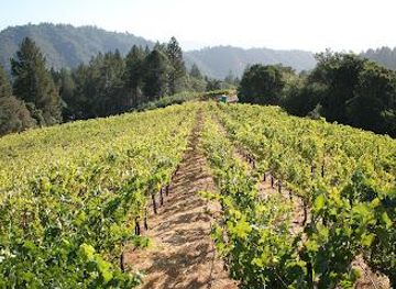 california/martinez/attraction/meadowcroft-wines