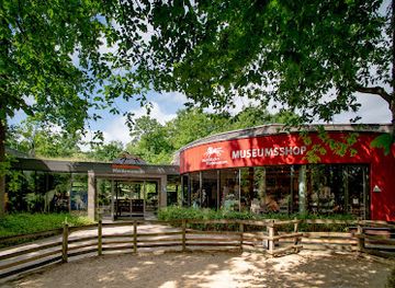 germany/munster/attraction/westphalian-horse-museum-munster-ggmbh