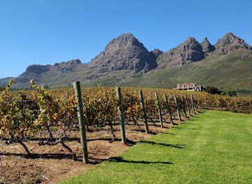 south-africa/cape-winelands/attraction/uva-mira-mountain-vineyards