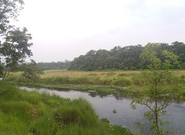 nepal/chitwan/sauraha/attraction/the-chitwan-tiger-guide-service-and-mini-library