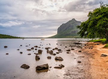 mauritius/le-morne/attraction/peninsule-de-mangrove