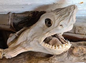 iceland/olafsvik/attraction/bjarnarhofn-shark-museum