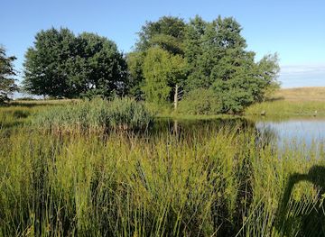 denmark/helsingor/attraction/gronne-vestkile