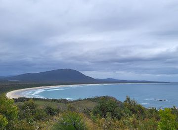 australia/mid-north-coast/attraction/forest-walking-track