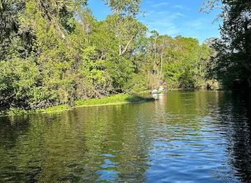 florida/juniper-springs-recreation-area/attraction/rock-springs-run