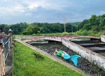 india/jabalpur/napier-town/attraction/jalpari-talab