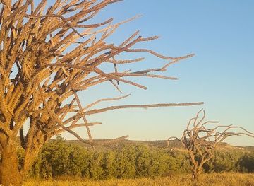 madagascar/ihorombe/attraction/onilahy-river