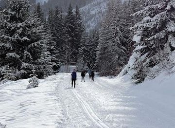 washington/bellevue/attraction/iron-horse-state-park