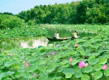 vietnam/southeast/attraction/khu-bao-ton-dat-ngap-nuoc-lang-sen