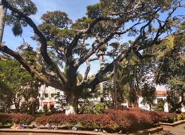 colombia/santanderes/attraction/independencia-park