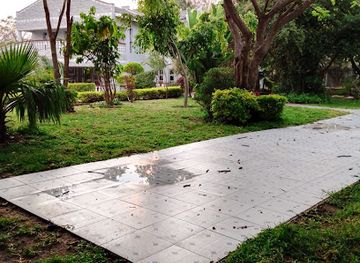 zimbabwe/harare/attraction/the-palm-haven