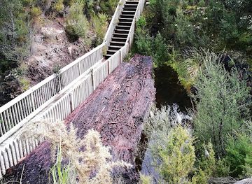new-zealand/northland/attraction/gumdiggers-park