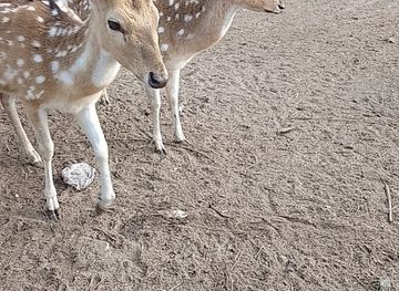 india/sundarbans/attraction/sundorban-tour-plan