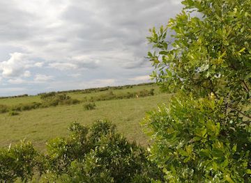 kenya/maasai-mara-national-reserve/attraction/masai-mara-national-reserve-talek-gate