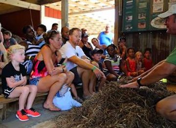 louisiana/lake-pontchartrain/attraction/insta-gator-ranch-hatchery