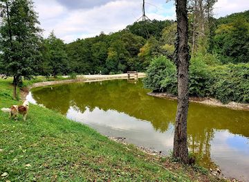 hungary/mecsek/attraction/varaljai-parkerdo