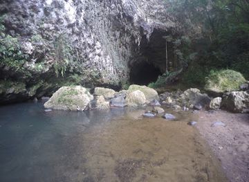 puerto-rico/arecibo/attraction/bosque-estatal-de-cambalache