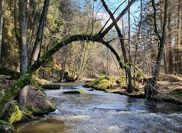 germany/oberpfälzer-wald/attraction/waldnaabtal