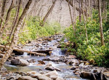 tennessee/great-smoky-mountains-national-park/attraction/inspiration-point
