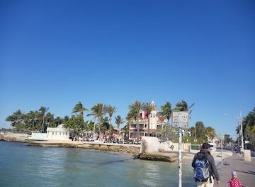 florida/key-west/attraction/the-key-west-butterfly-and-nature-conservatory