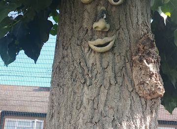 barbados/saint-james/attraction/taylors-gap