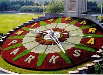 pitcairn-islands/buffalo-town/attraction/floral-clock
