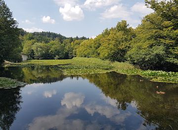 slovenia/posavje/attraction/monument-ribe-the-fish