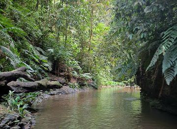 trinidad-and-tobago/asa-wright-nature-centre/attraction/mystery-pool