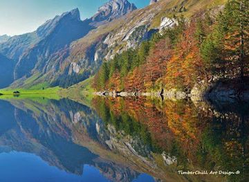 switzerland/eastern-switzerland/attraction/museum-appenzell