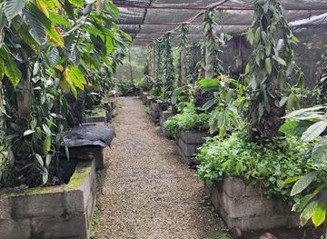 mauritius/mahebourg/attraction/plantation-vanille-st-julien-d-hotman